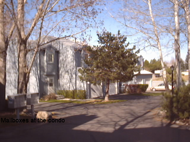 picture12.jpg