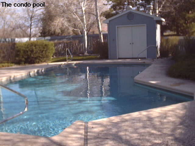 pool.jpg